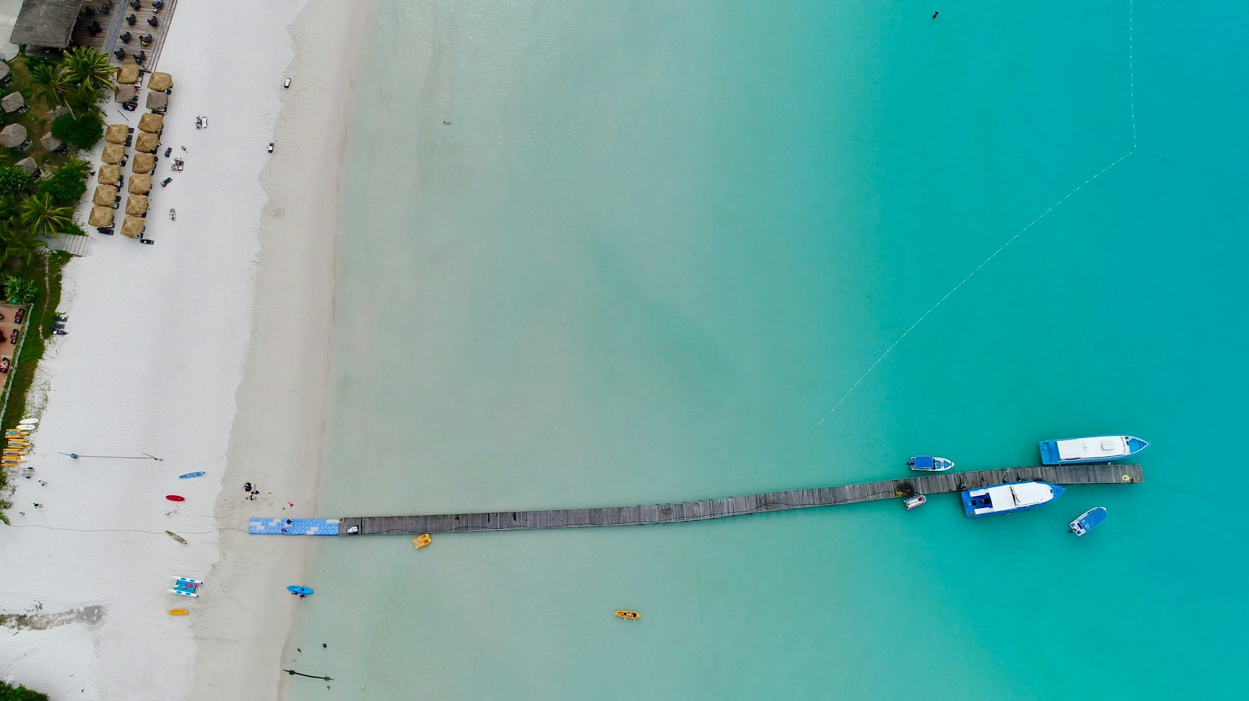 aerial photography of beach